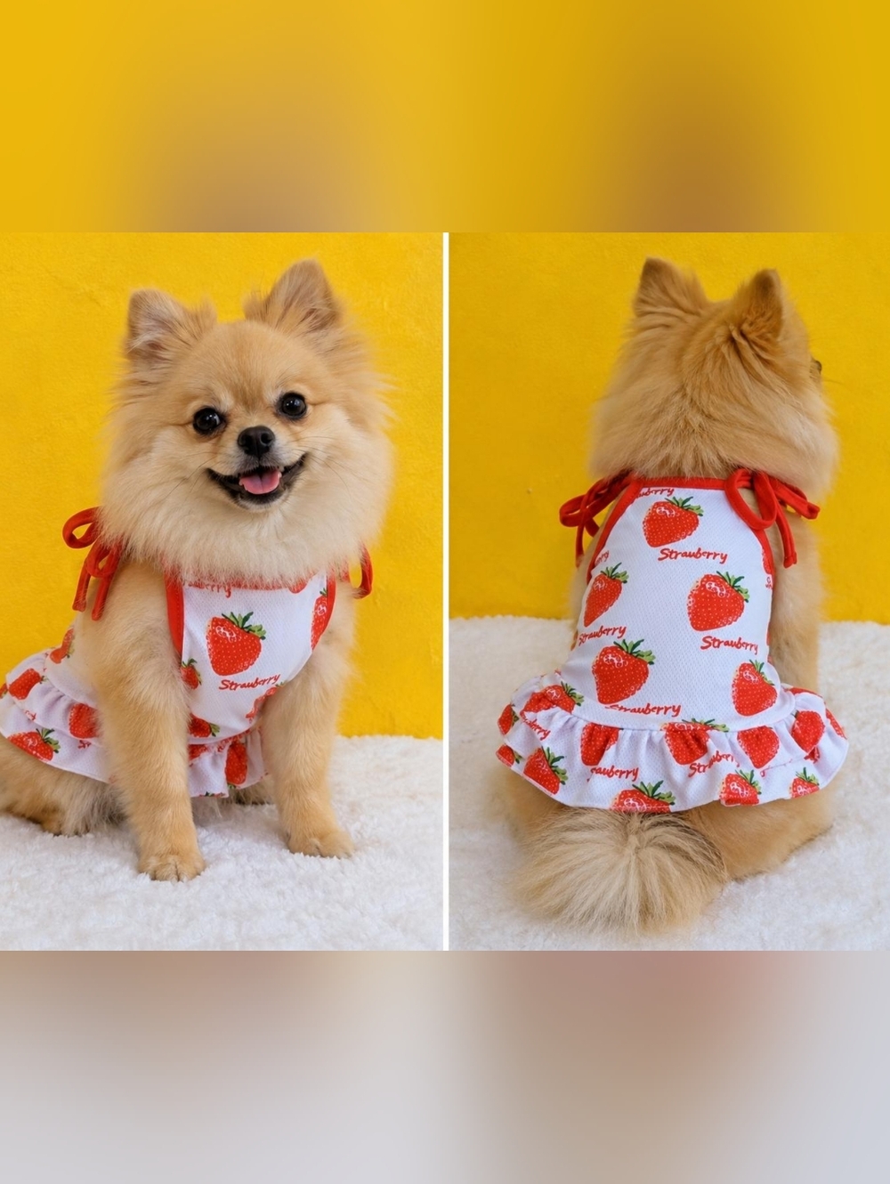 Dog dress